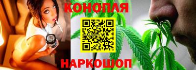 ALPHA PVP Гай