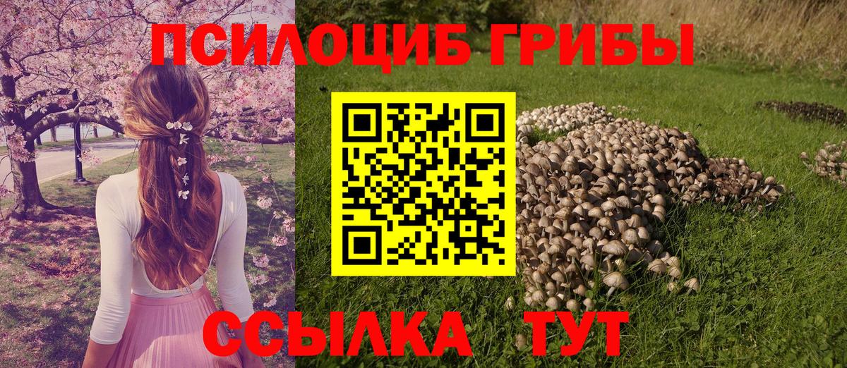 Псилоцибиновые грибы прущие грибы Люберцы