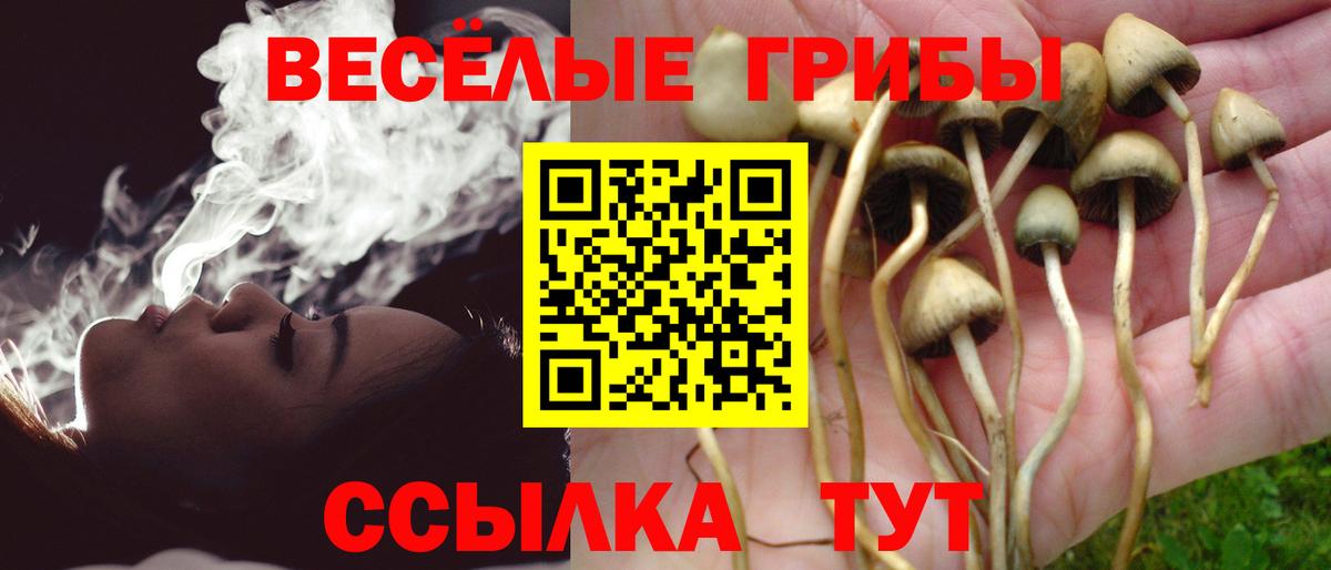 Люберцы  Псилоцибиновые грибы GOLDEN TEACHER  Вход с VPN 